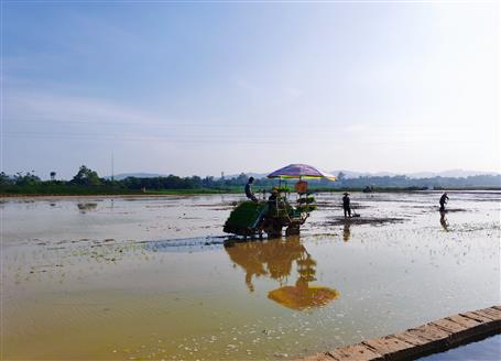 千畝“瘦地”變“肥田”丨石碑坪“旱改水”項(xiàng)目出成效，助力鄉(xiāng)村振興