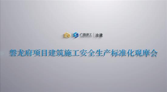 冶建公司磐龍府項目建筑施工安全生產(chǎn)標準化觀摩會